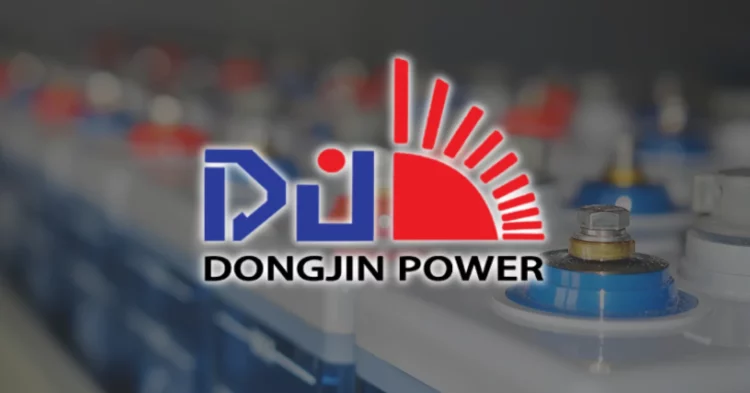 dongjin battery plant planned for faisalabad