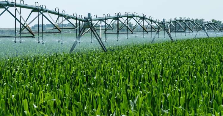 PM Shehbaz Orders Sweeping Reforms to Modernise Agriculture